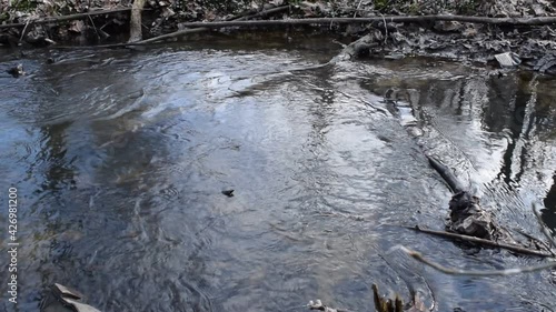 Water flow in a small river in an old park.