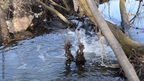 Water flow in a small river in an old park.
