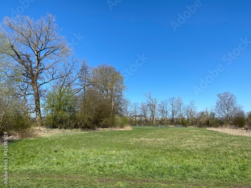 Natural landscape with early spring pastures and mixed forests on the glades and hills above Lake Mauensee or Lake Mauen (Mauesee) - Canton of Lucerne, Switzerland (Schweiz) photo