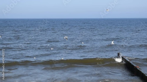 Sea waves crash against the breakwater.