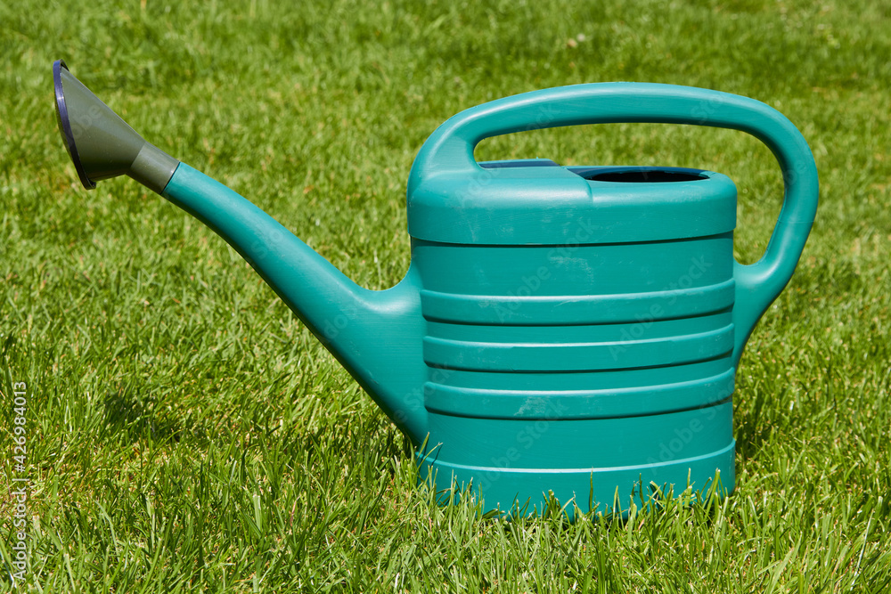 plastic garden watering can,watering can on the grass for watering flowers in the garden plastic garden watering can,watering can on the grass for watering flowers in the garden