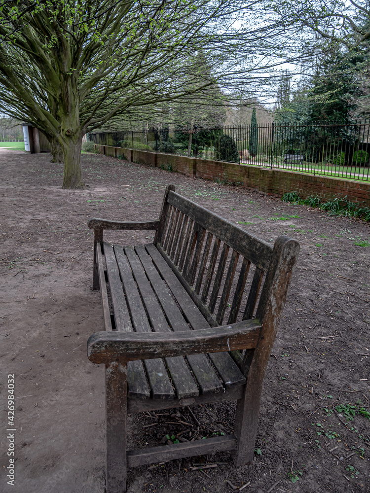 Vie of wooden bench in the park in spring.