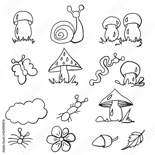 forest fruits, forest dwellers, mushrooms, white mushrooms, russula mushrooms,toadstools, chanterelles, worms, snails, butterflies, grass, ants, print for printing on a backpack, print for printing on