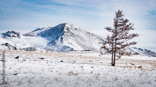 Mountain and tree in the Tazheran steppe