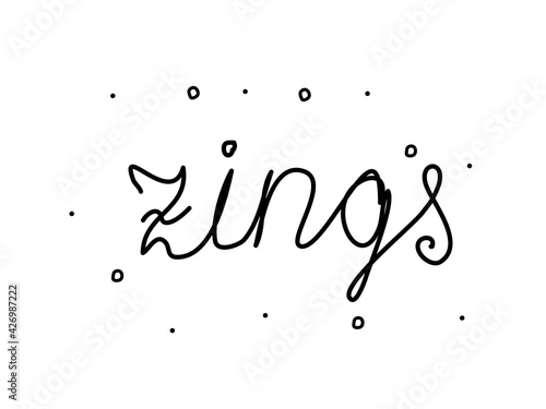 Zings phrase handwritten. Modern calligraphy text. Isolated word black, lettering