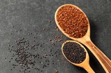 Superfood quinoa seeds, red, black on a gray background in wooden spoons. Close-up, empty space for text