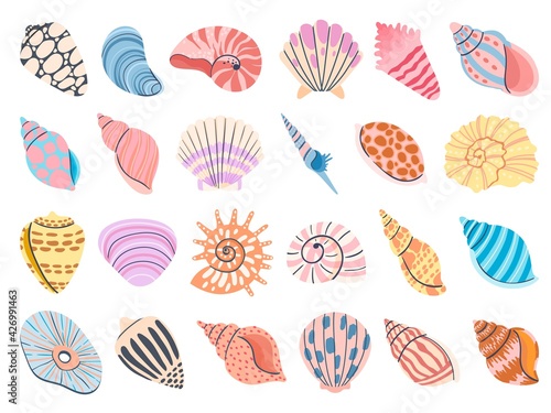 Tropical seashell. Cartoon clam, oyster and scallop shells. Colorful underwater conches of mollusk and sea snail. Ocean shellfish vector set