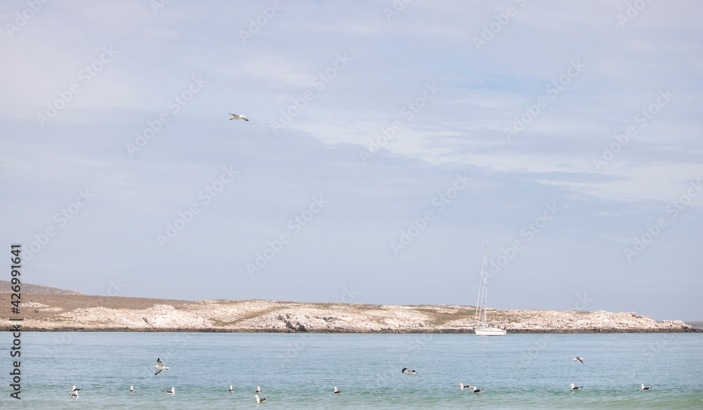 Langebaan Lagoon, South Africa. A Beautiful tourist destination with rocky coastline with seagulls and sail boat in the background.