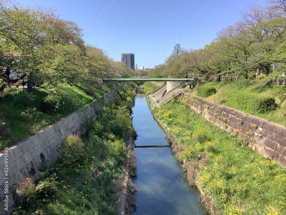 Green and beautiful Yamazaki River Four Seasons Road