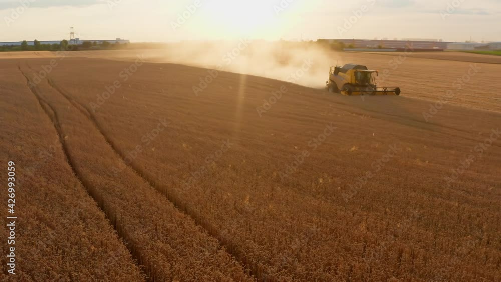 Combine wheat aerial sunset agriculture harvesting Combine wheat aerial sunset agriculture harvesting