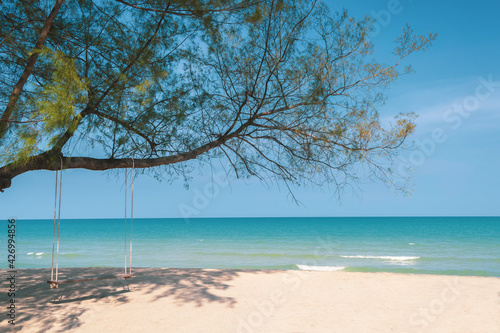 Turquoise blue sea view with swing at pine tree on beach, Nature background wallpaper © Danai