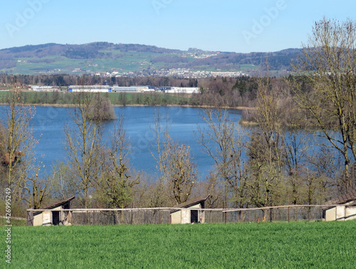 Late winter and early spring on the lake Mauensee or Lake Mauen (Mauesee) - Canton of Lucerne, Switzerland (Schweiz) photo