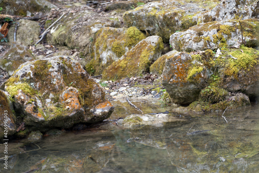 Little river running into little pond at springtime. Photo taken April 11th, 2021, Zurich, Switzerland. Little river running into little pond at springtime. Photo taken April 11th, 2021, Zurich, Switzerland.
