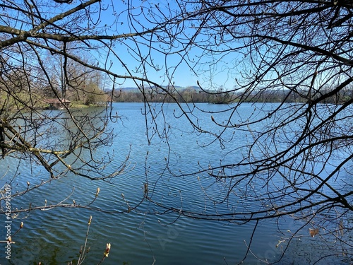 Late winter and early spring on the lake Mauensee or Lake Mauen (Mauesee) - Canton of Lucerne, Switzerland (Schweiz) photo