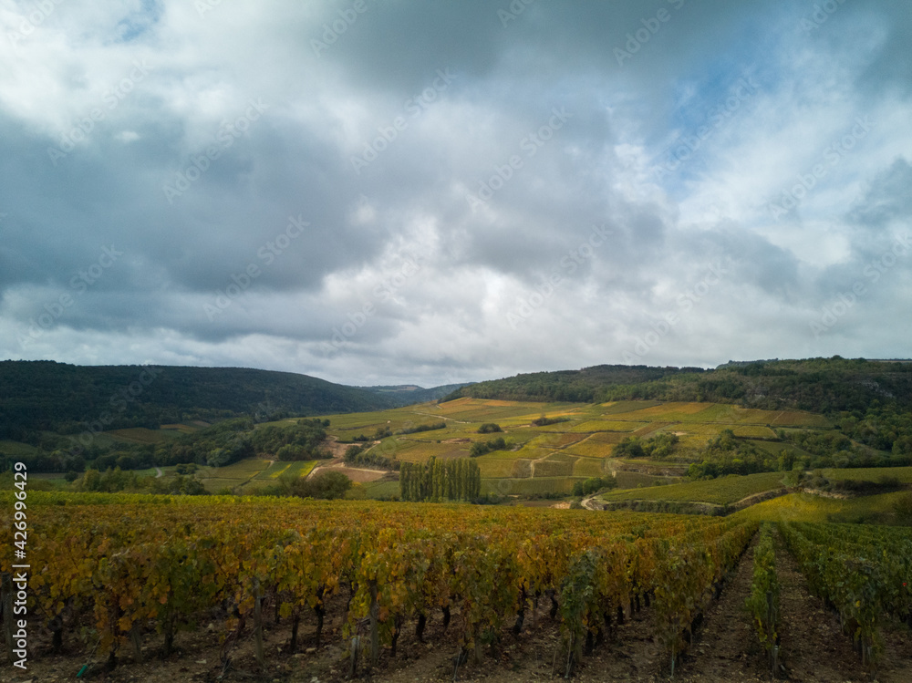 Le vignoble en automne. Les vignes en automne en Côte-d'Or. Un vignoble automnal. Des collines et des vignes de Bourgogne.