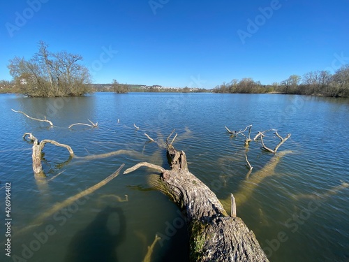 Late winter and early spring on the lake Mauensee or Lake Mauen (Mauesee) - Canton of Lucerne, Switzerland (Schweiz) photo