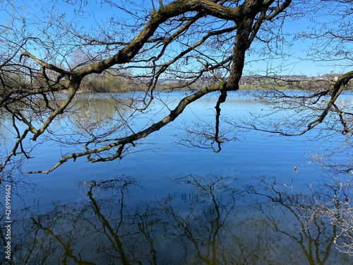 Late winter and early spring on the lake Mauensee or Lake Mauen (Mauesee) - Canton of Lucerne, Switzerland (Schweiz) photo