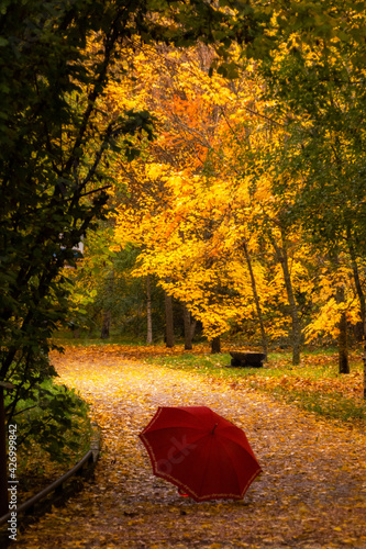 Paraguas en otoño