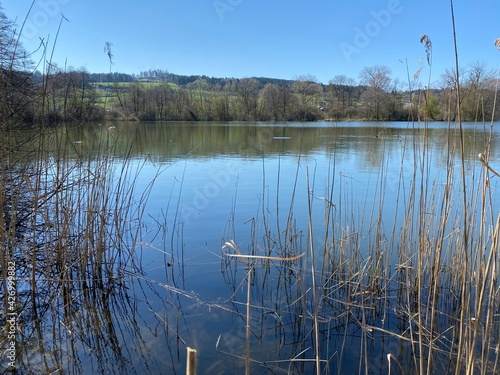 Late winter and early spring on the lake Mauensee or Lake Mauen (Mauesee) - Canton of Lucerne, Switzerland (Schweiz) photo