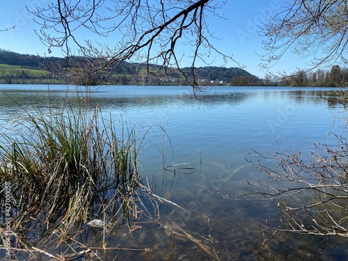 Late winter and early spring on the lake Mauensee or Lake Mauen (Mauesee) - Canton of Lucerne, Switzerland (Schweiz) photo