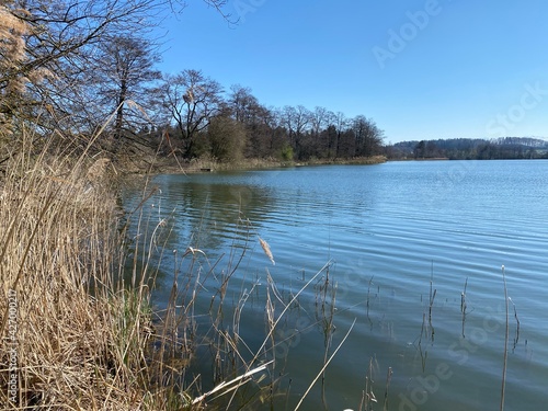 Late winter and early spring on the lake Mauensee or Lake Mauen (Mauesee) - Canton of Lucerne, Switzerland (Schweiz) photo