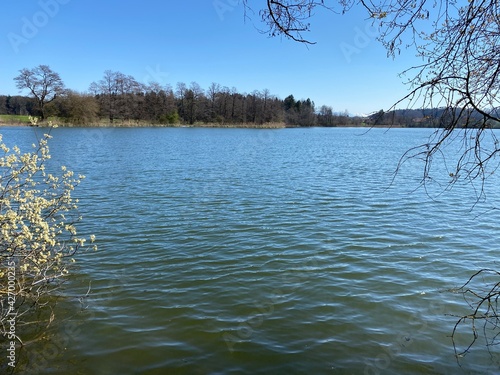 Late winter and early spring on the lake Mauensee or Lake Mauen (Mauesee) - Canton of Lucerne, Switzerland (Schweiz) photo