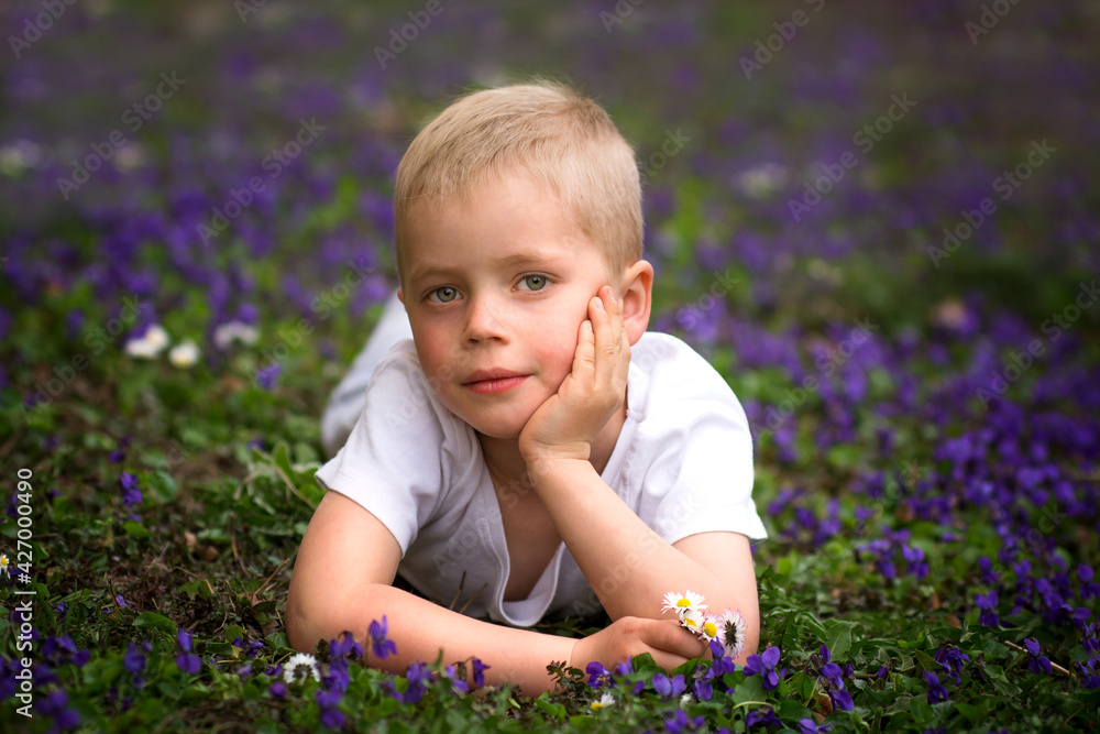 Small boy lying on lawn with violet flowers in park. Kid portrait and spring blossom. Small boy lying on lawn with violet flowers in park. Kid portrait and spring blossom.