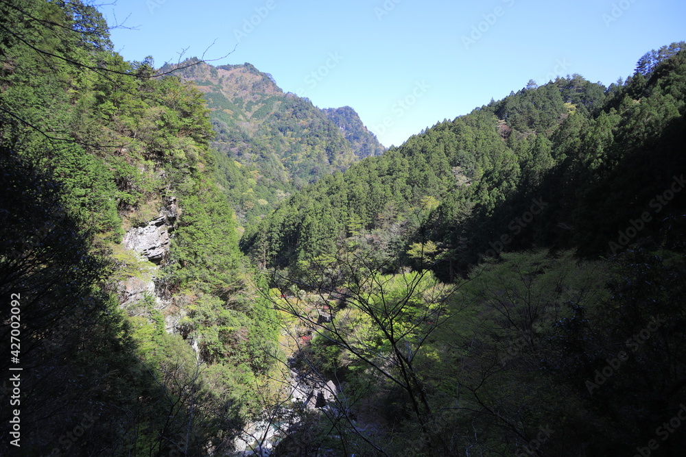 安居渓谷 安居渓谷