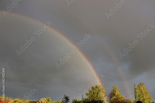 Heavenly landscape. Rainbow in a stormy sky over a forest