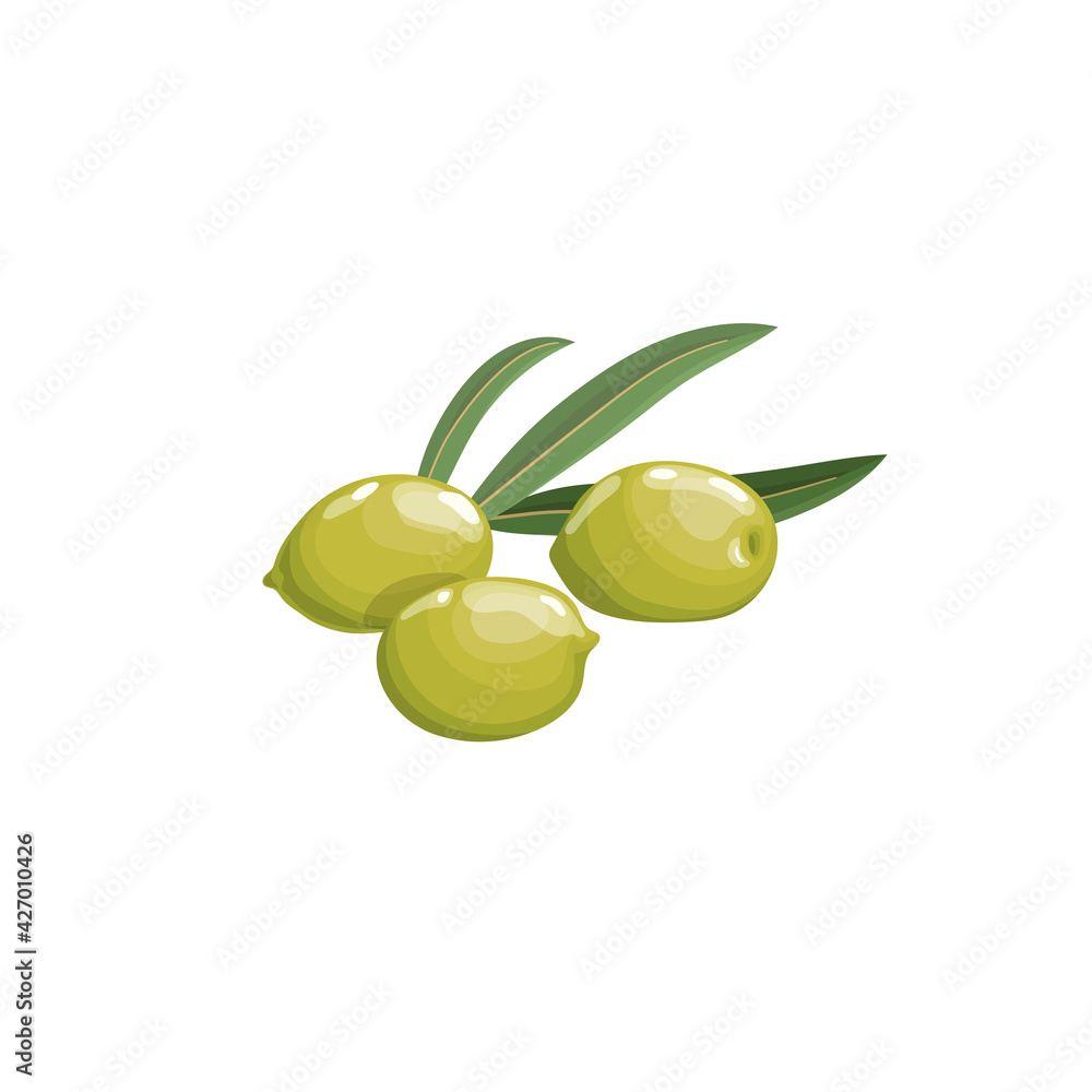 Green olives with leaves in cartoon style.  Flat simple design element for packaging, logos and other olive products. Vector illustration isolated on white.