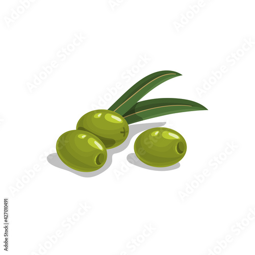 Green pitted olives with leaves in cartoon style.  Flat simple design element for packaging, logos and other olive products. Vector illustration isolated on white.
