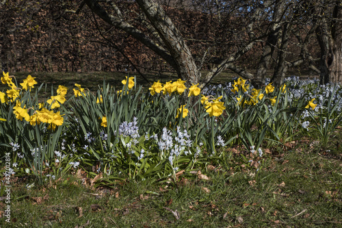 Signs of spring with spring flowers and vegetables in Malmo Sweden Skane