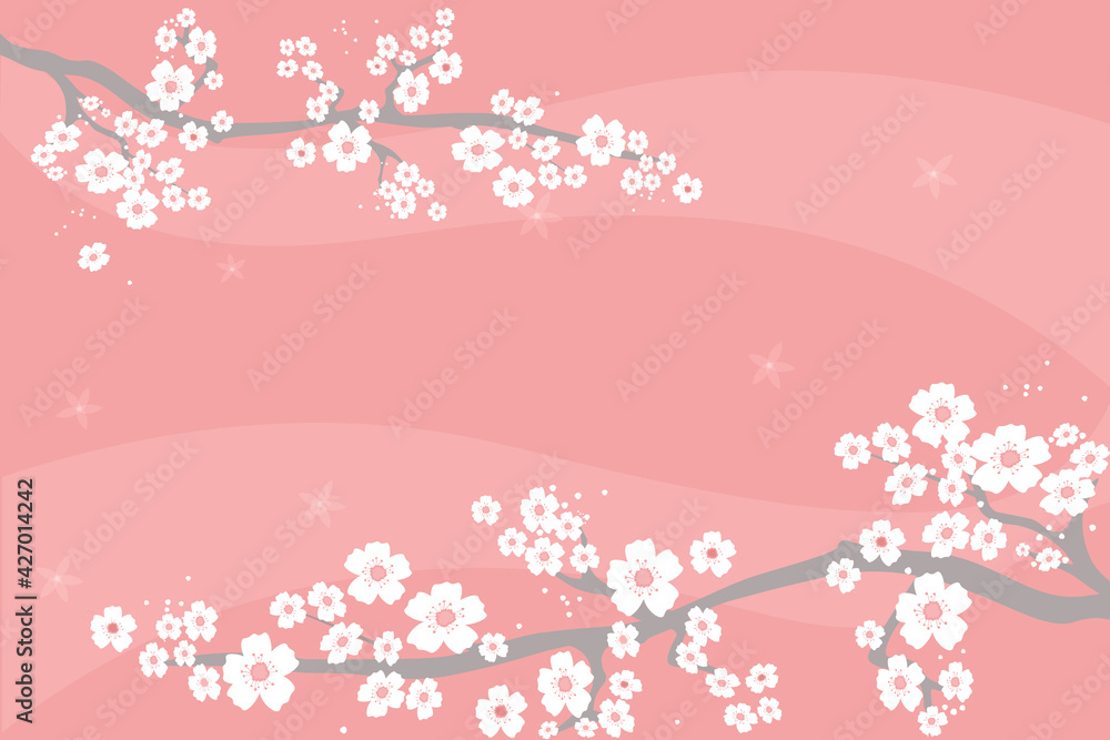 Spring soft pink greeting card, poster, banner, invitation greetings. Branches of white Japanese cherry blossoms on a light background. Vector graphics. Spring soft pink greeting card, poster, banner, invitation greetings. Branches of white Japanese cherry blossoms on a light background. Vector graphics.