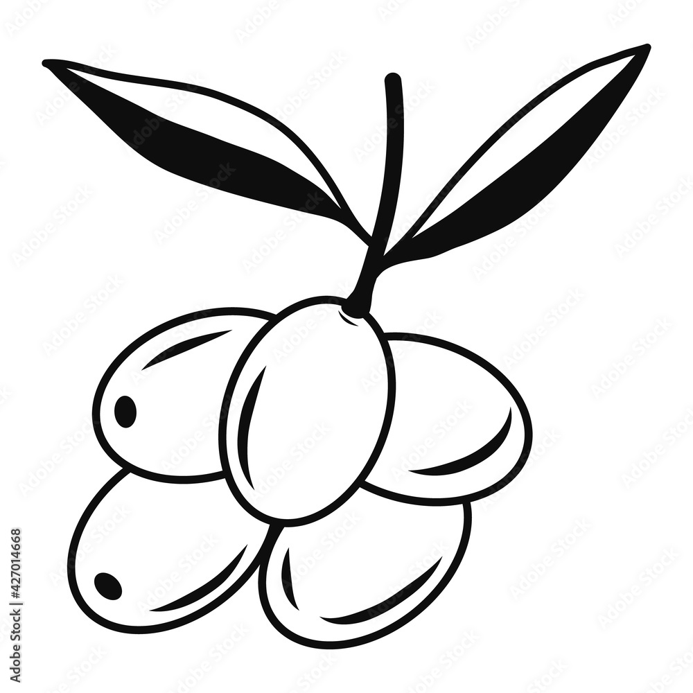 Olives on branch icons. Black illustration. Contour liner sketch. Idea for decors, logo, patterns, papers, covers, gifts, summer and autumn holidays, floral natural themes. Isolated vector art. Olives on branch icons. Black illustration. Contour liner sketch. Idea for decors, logo, patterns, papers, covers, gifts, summer and autumn holidays, floral natural themes. Isolated vector art.