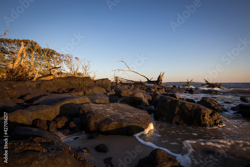 Sunrise on Talbot Island's boneyard beach in Jacksonville, FL photo