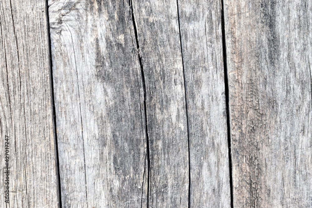 Fototapeta premium Old wooden boards and their surface close-up