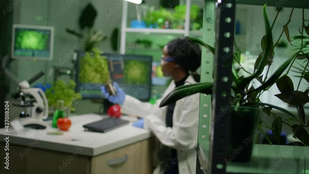 Scientist woman analyzing sapling while typing pharmaceutical expertise on computer. Biologist examining gmo test for medical experiment while working in biochemistry laboratory Scientist woman analyzing sapling while typing pharmaceutical expertise on computer. Biologist examining gmo test for medical experiment while working in biochemistry laboratory