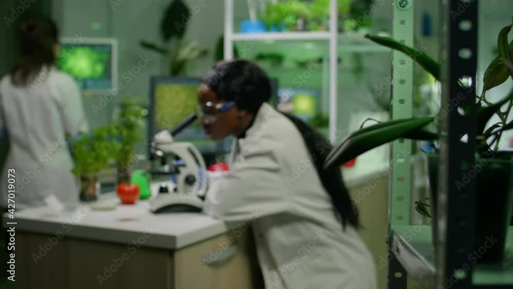 custom made wallpaper toronto digitalBiologist researcher examining organic leaf slide for medical expertise under microscope. Chemist scientist analyzing organic agriculture plants in microbiology scientific laboratory