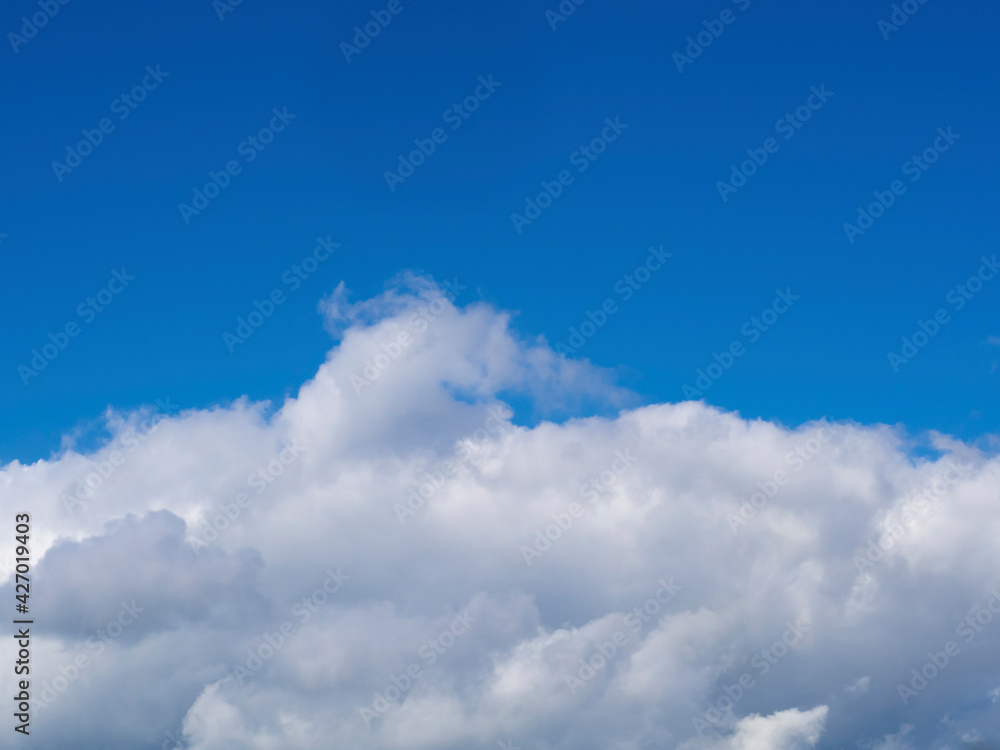 Fototapeta premium Blue sky with white clouds