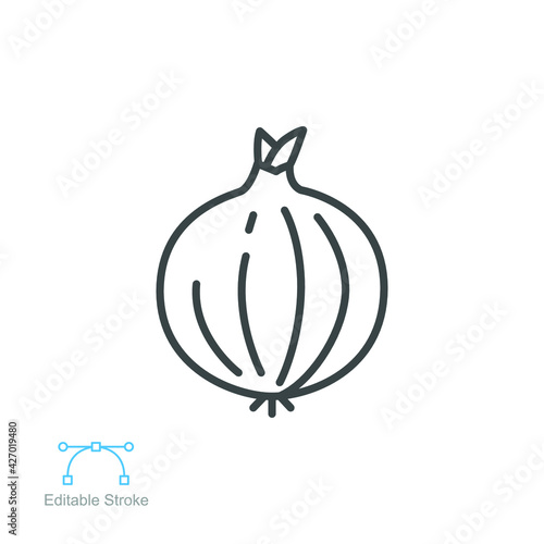 Fresh onion icon, outline style vegetable for graphic and web design collection logo. Outline style Vector illustration. Design on white background EPS 10