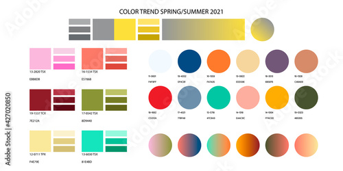 Fashion color trend summer autumn 2021. Color palette forecast of the future color trend. Stock vector palette of shades
