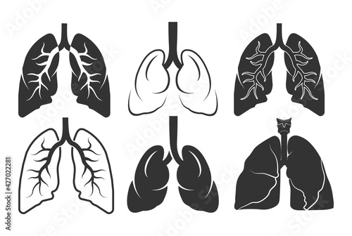 Human lungs, Human lungs Vector, Human lungs Icon, Lungs, Bronchial