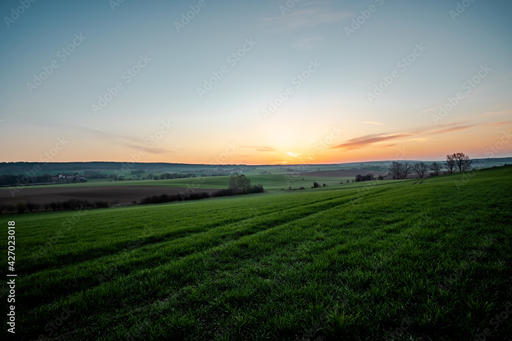 Sunrise over green grassy fields in the 