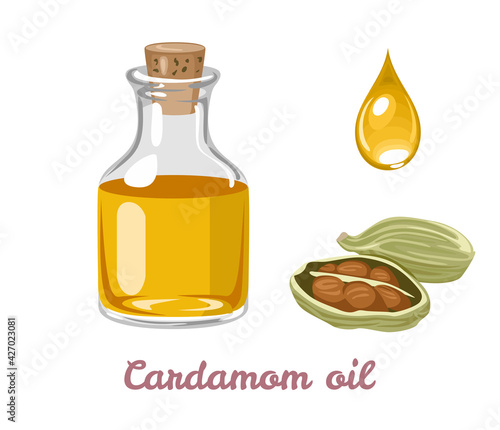 Cardamom essential oil in glass bottle and seeds isolated on white background. Vector illustration of aroma oil in cartoon simple flat style.