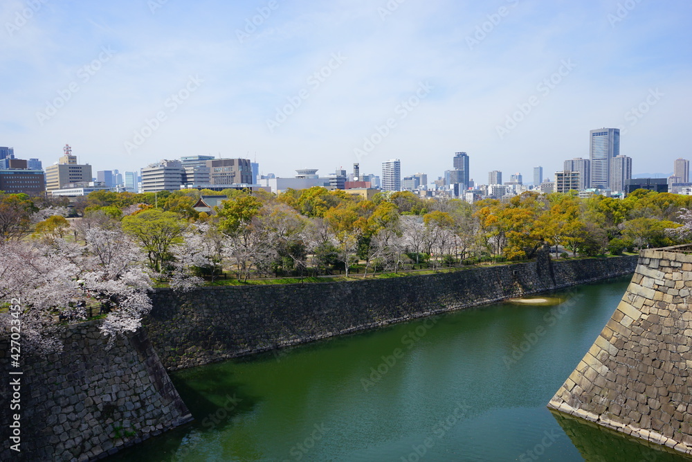 City landscape of Osaka, Japan with Osaka castle moat and Cherry blossoms - 大阪の都市景観 大阪城のお濠と桜