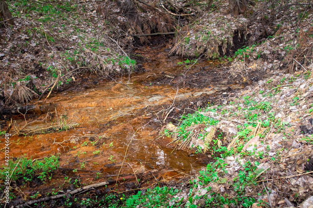 spring in the forest. The photo was taken in the city of Izium, Ukraine on April 11, 2021 spring in the forest. The photo was taken in the city of Izium, Ukraine on April 11, 2021