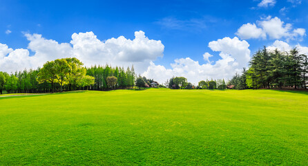 Green grass and trees in spring season.