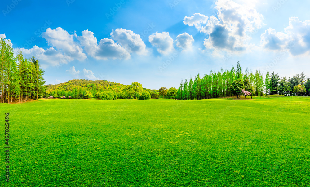 Green grass and forest in spring season. Green grass and forest in spring season.