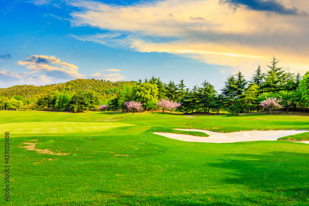 Green grass and forest on the golf course.