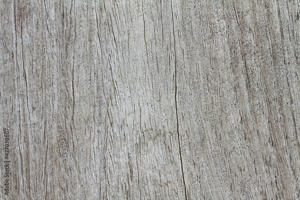 Brown wood texture. Abstract background, empty template Brown wood texture. Abstract background, empty template
